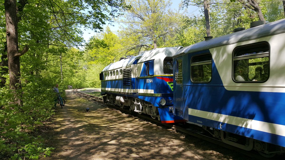 ТУ2-054 с составом 'Украина' на перегоне. Открытие сезона-2018