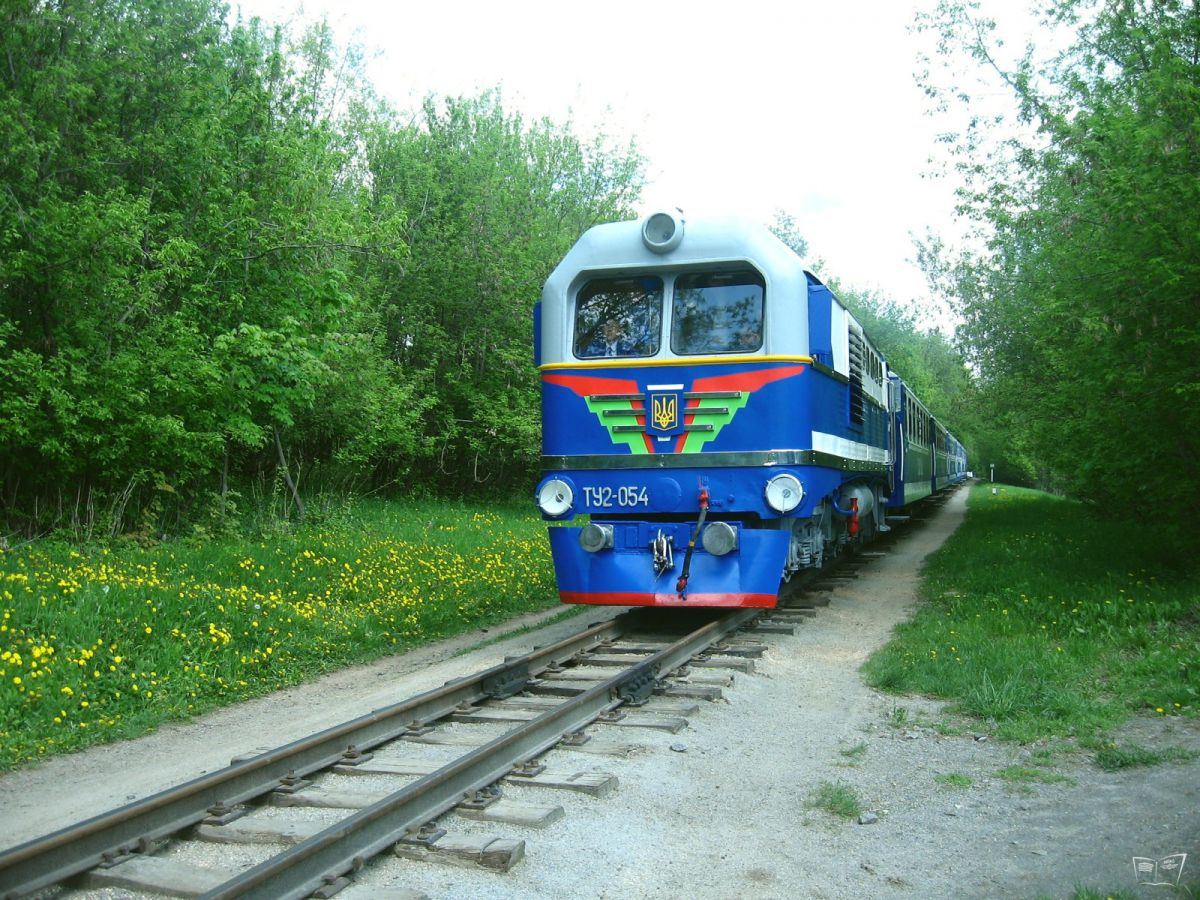 ТУ2-054 с составом 'Украина' на перегоне