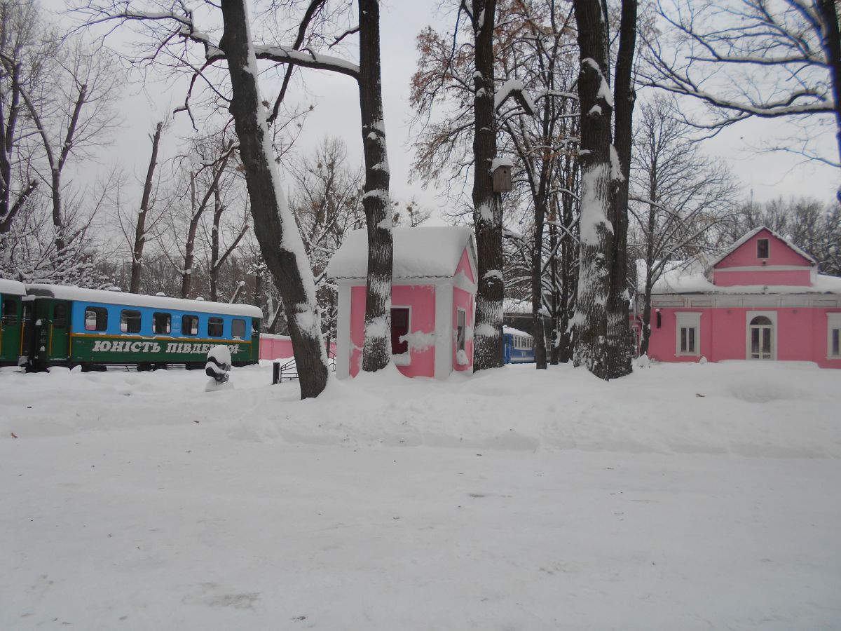 Вагоны на ст. Парк, вид от тепловозного депо