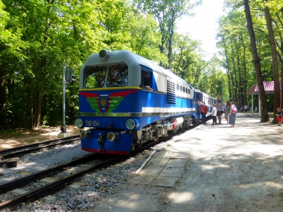 Поезд на Лесопарке