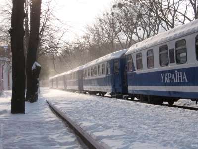 Заснеженные вагоны на ст. Парк