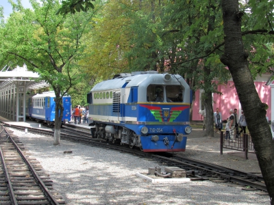 ТУ2-054 совершает маневры по ст. Парк