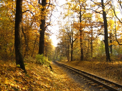 Осень на перегоне.